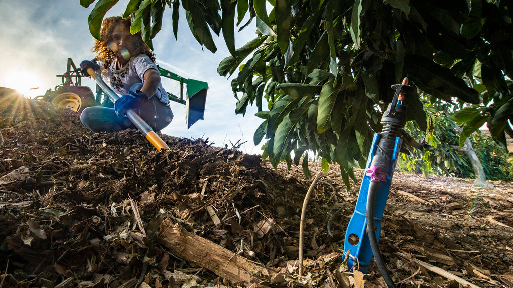 How Fall Mulching Can Protect Your Plants This Winter