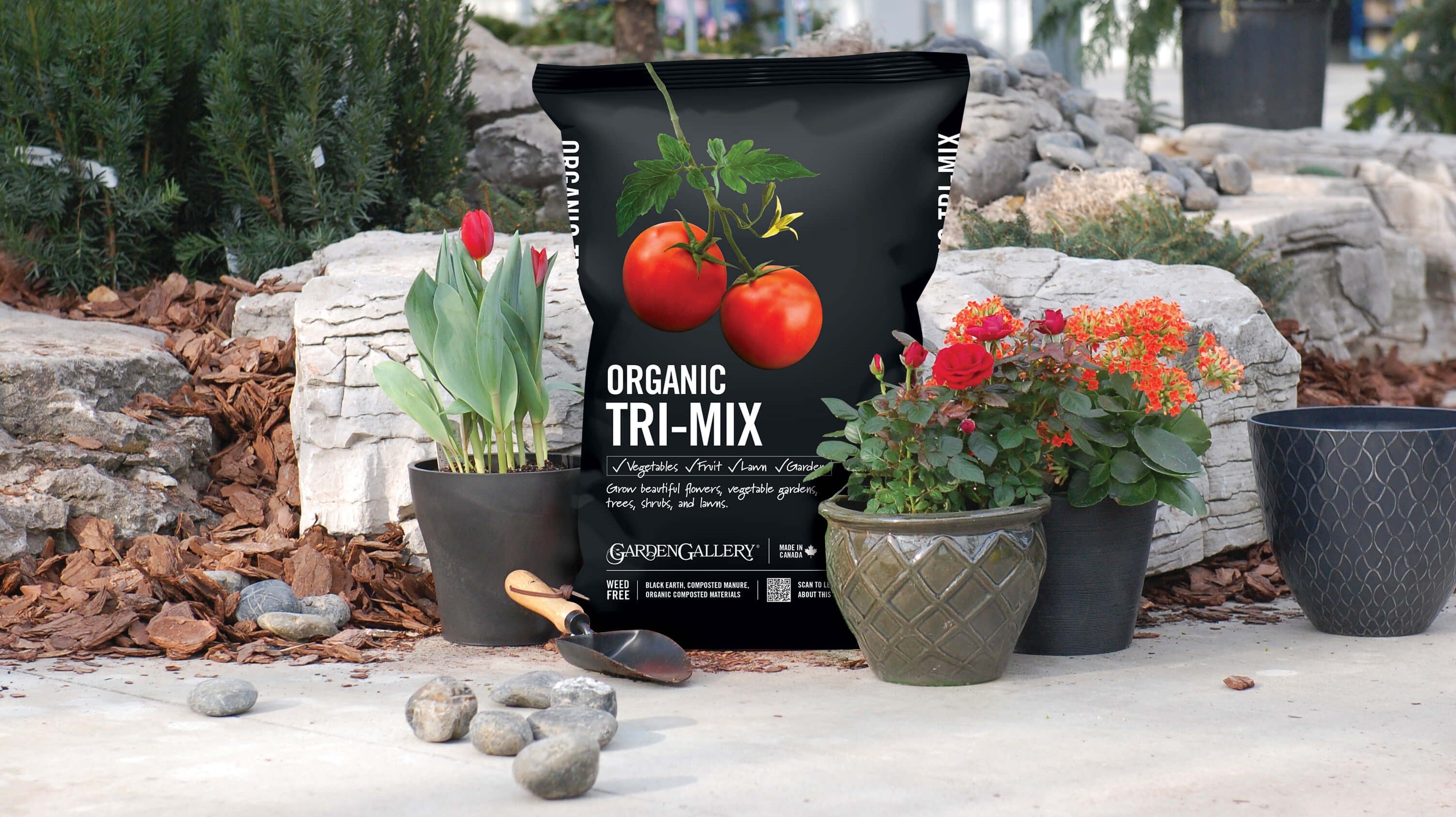 Get Your Yard Spring Ready with These 7 Simple Steps