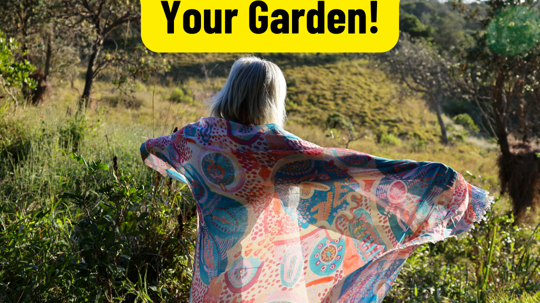 Why You Should Add Indigenous Plants To Your Garden?