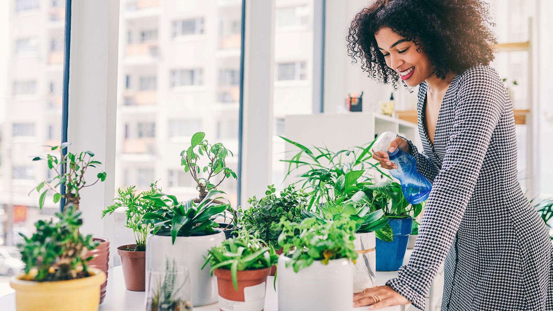 INDOOR PLANTS FOR CLEANER AIR