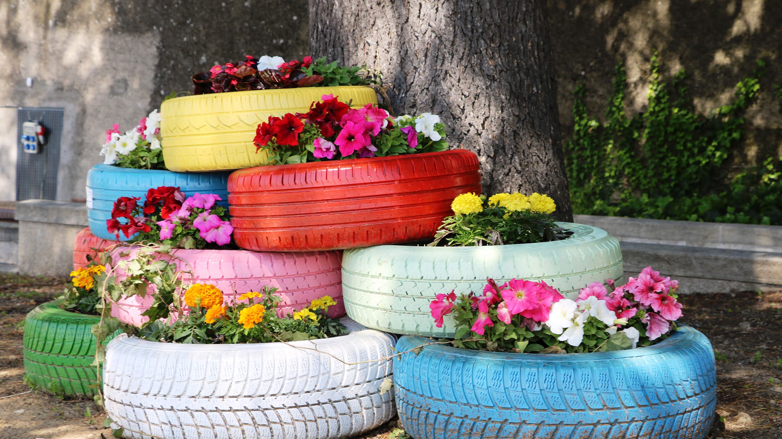 Container Gardening Simplified