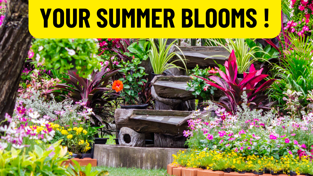 A Gardener's Guide To Summer Blooms