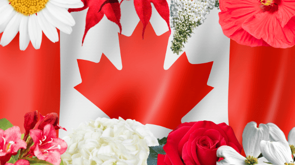 Celebrate Canada Day with Native Plants in Your Garden