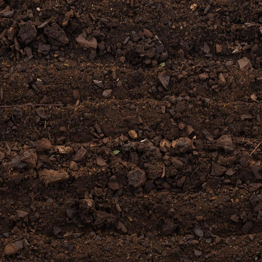 Everything You Need to Know About Soil