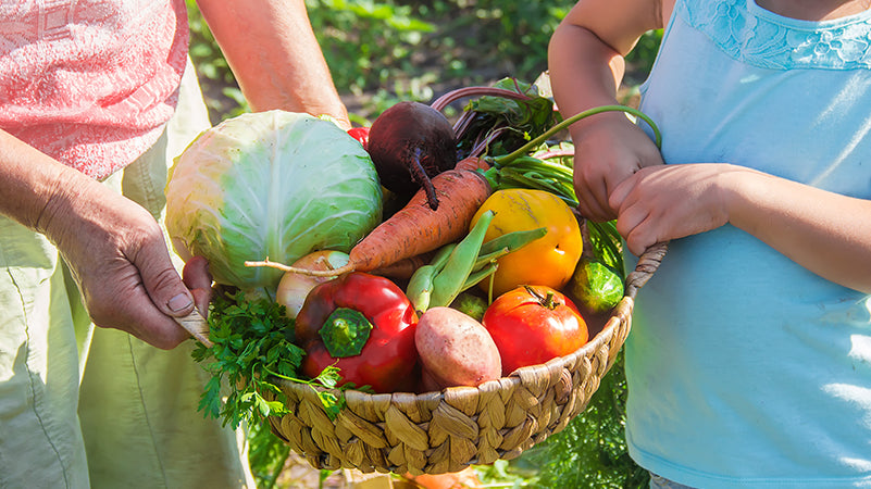 Get Ready For Harvest