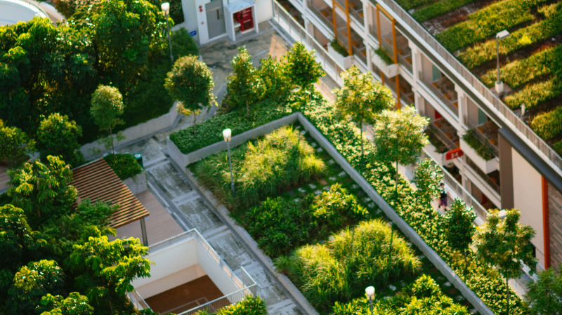 Kicking off Urban Apartment Gardening in January