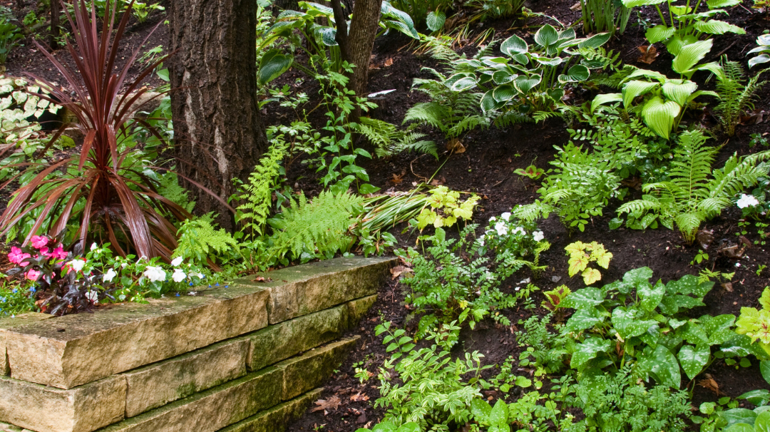 The Secret to Successful Shade Loving Gardens