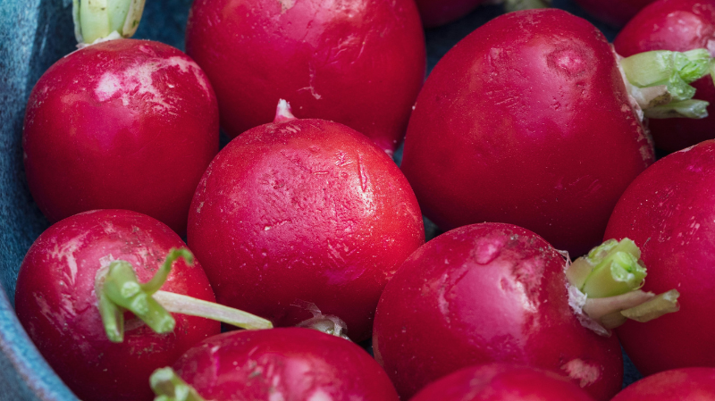 Top 10 Cold-Hardy Crops to Kickstart Your Spring Garden