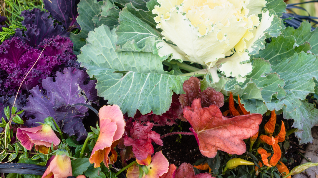 Expert Tips for Creating a Stunning Autumn Retreat