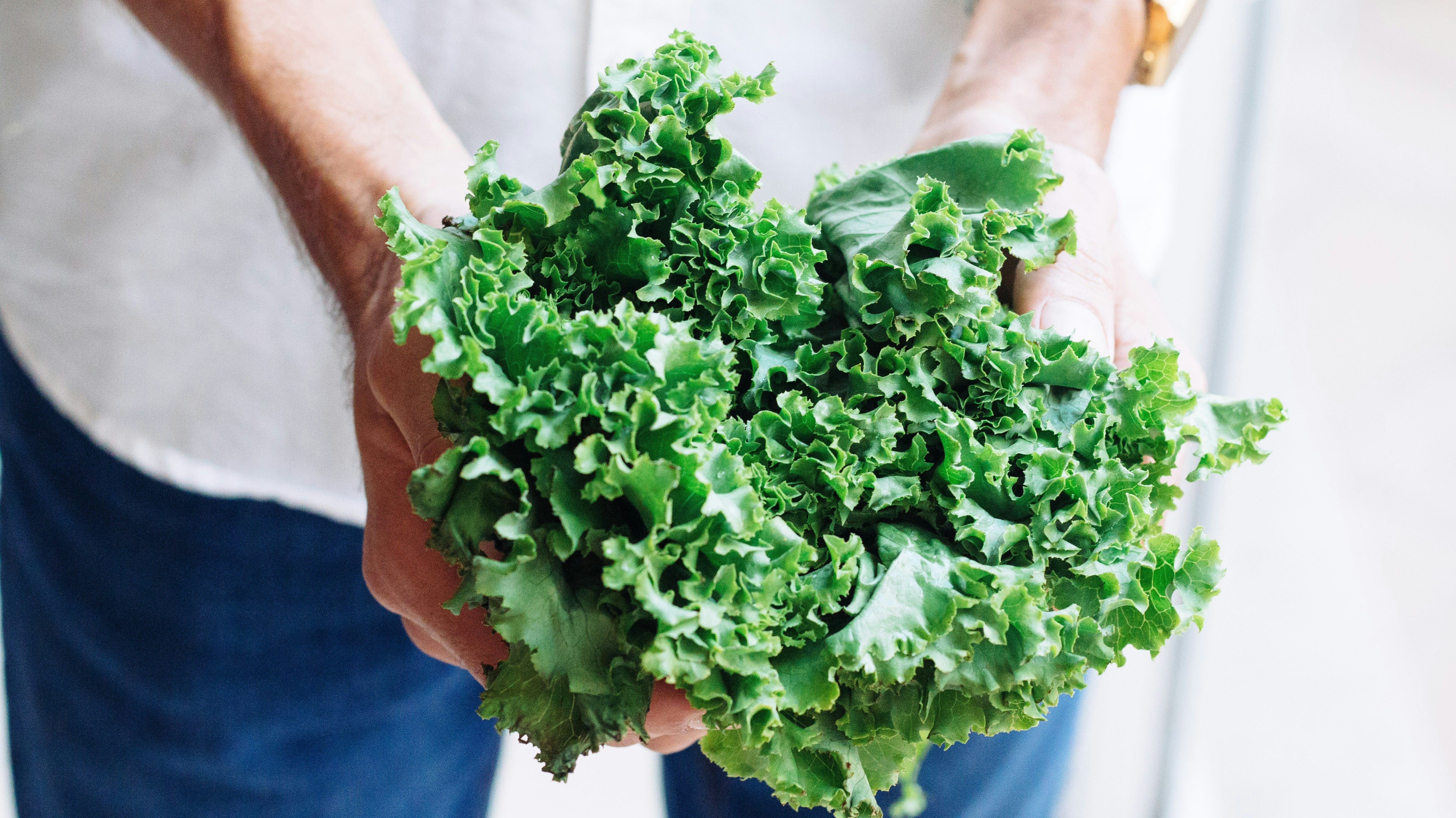 What to Plant Now for Fall Harvest