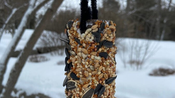 Easy Bird Feeder Craft For Kids