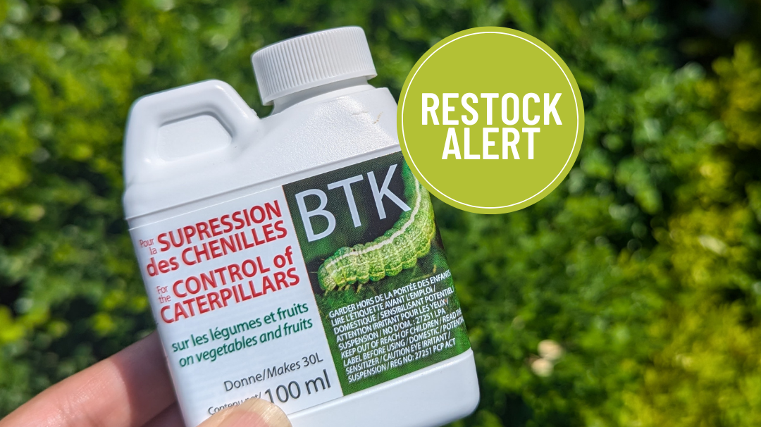 What is BTK & How To Use It?