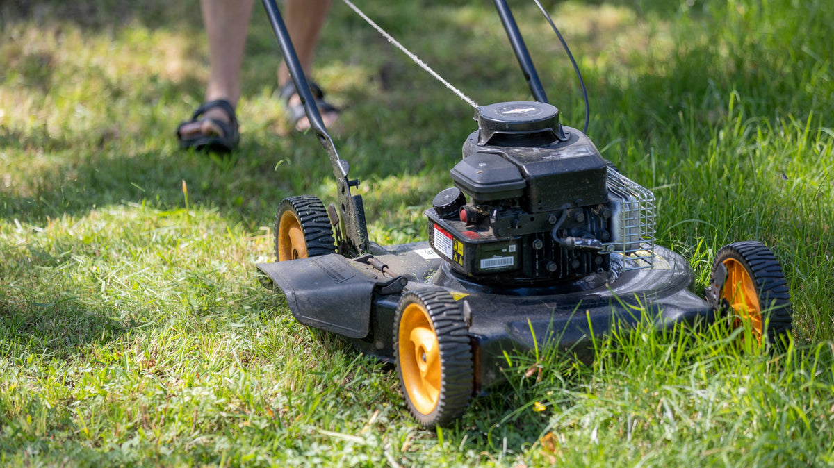 5 Fall Lawn Care Tips for a Greener Lawn Next Spring