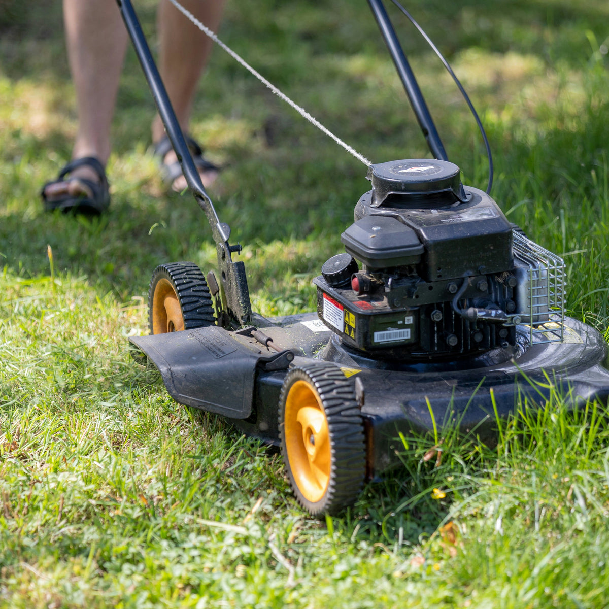 5 Fall Lawn Care Tips for a Greener Lawn Next Spring