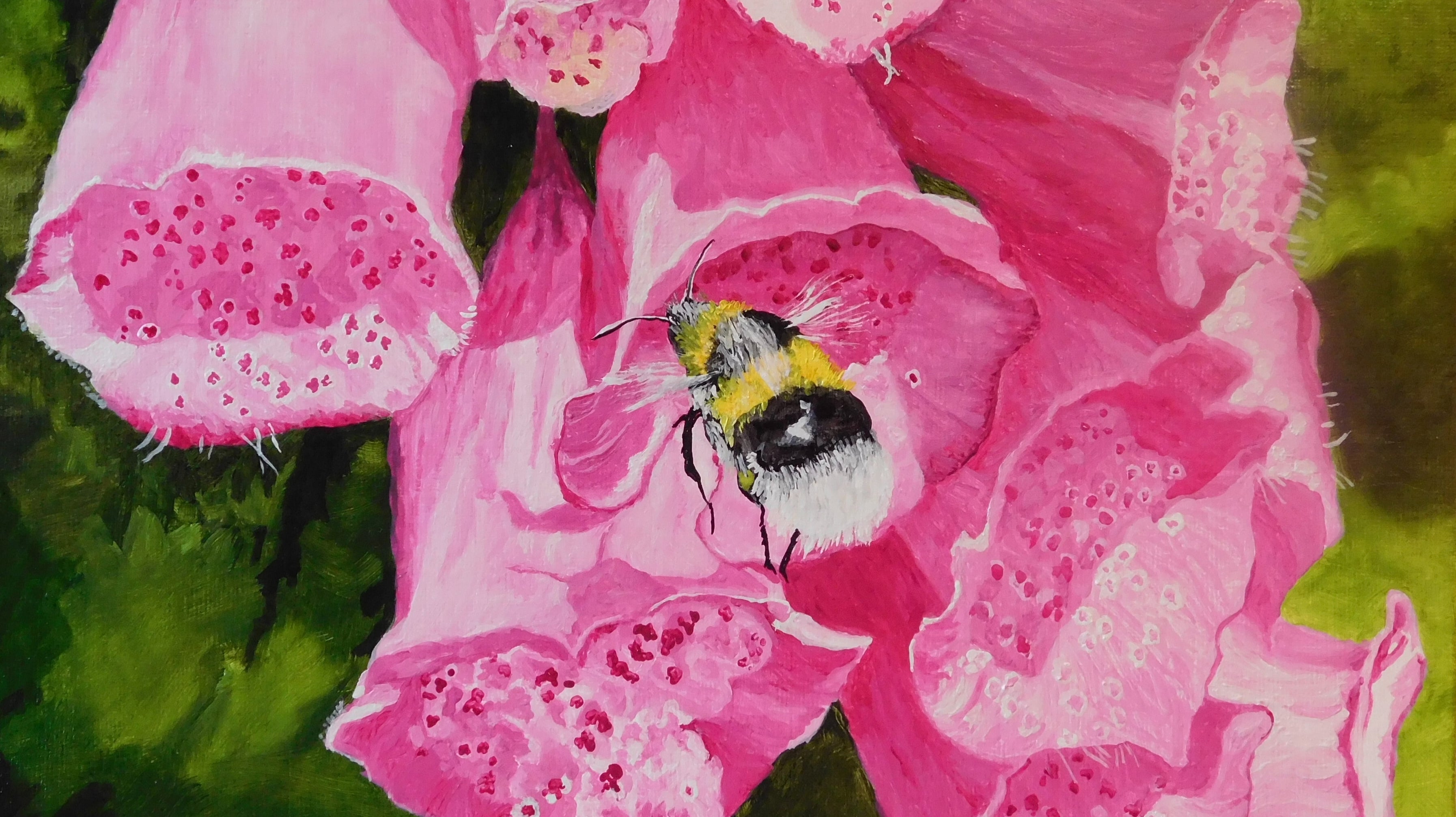 Gardening for Wildlife: Attracting Beneficial Insects in January