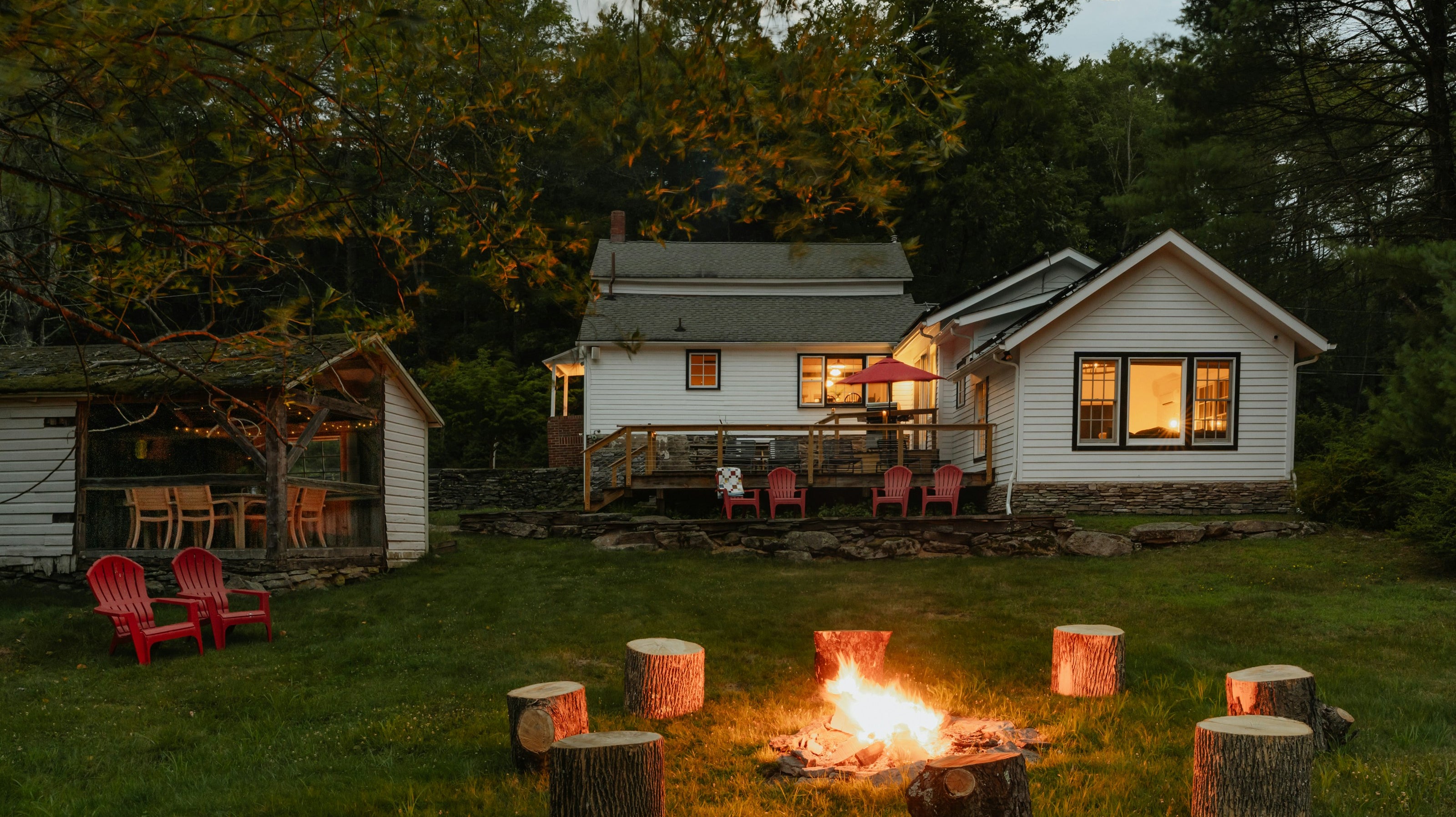 5 Plants to Deter Mosquitoes