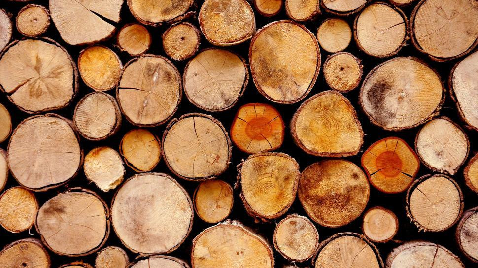 Why Stocking Up on Firewood and Salt Is a Must This Winter