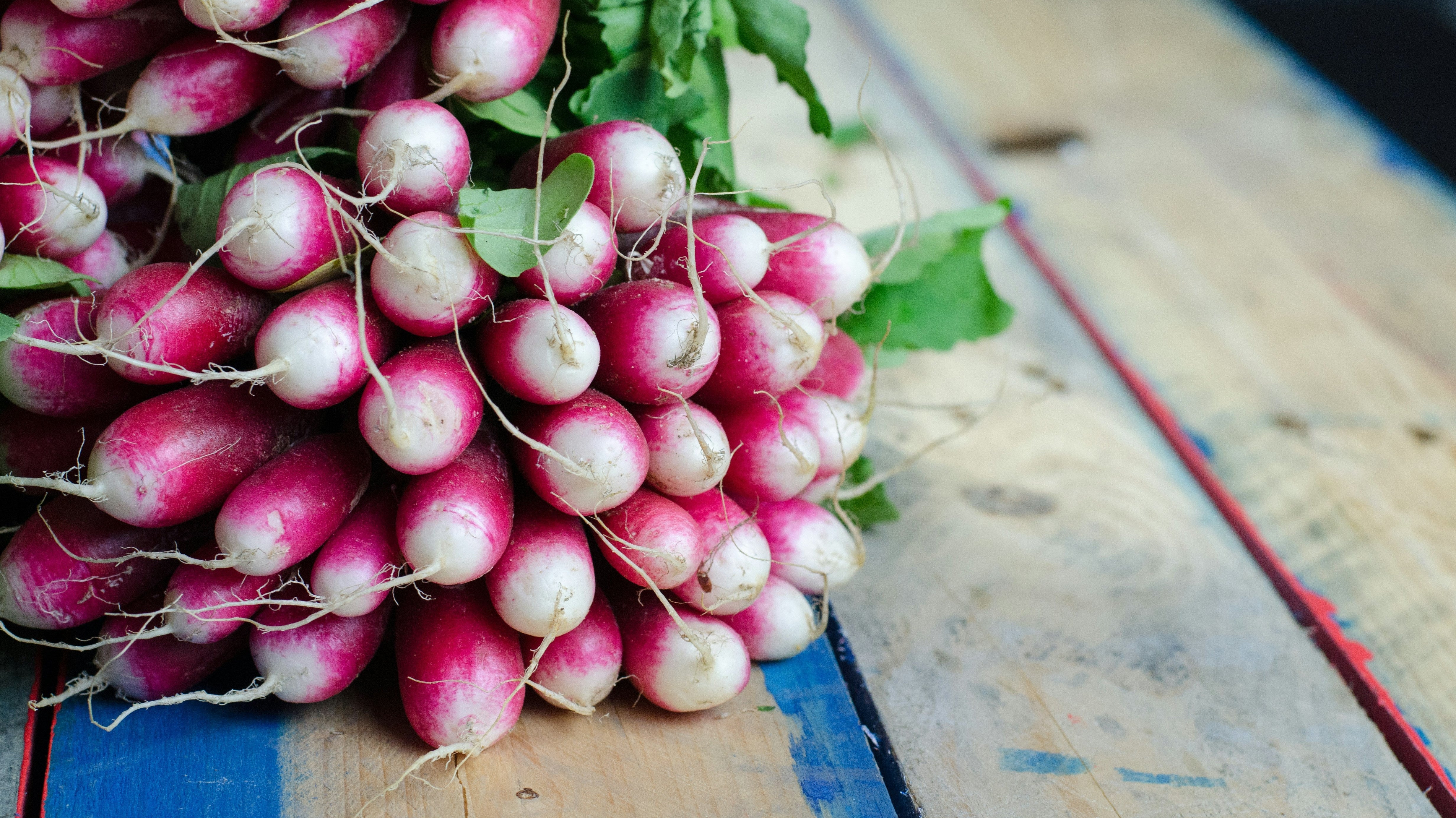 What Cold-Weather Crops Can Be Planted In April?