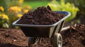 Winter Garden Care: How to Protect Your Plants From Frost