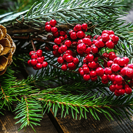 How to Care for Your Holiday Greens So They Stay Fresh All Season