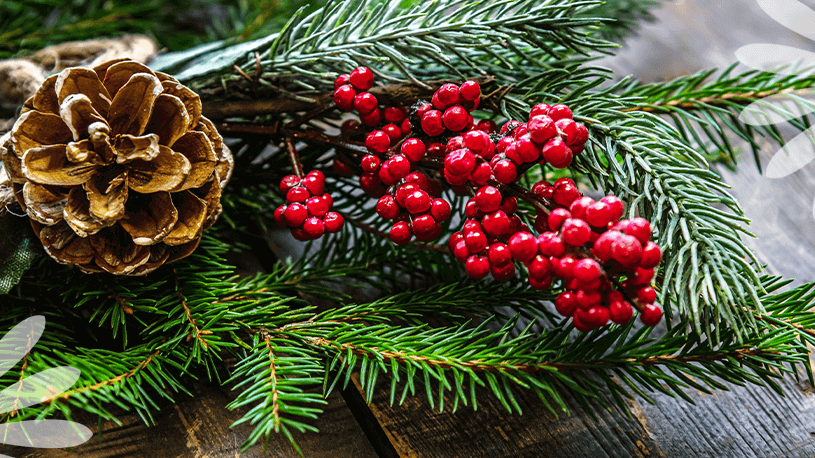 How to Care for Your Holiday Greens So They Stay Fresh All Season