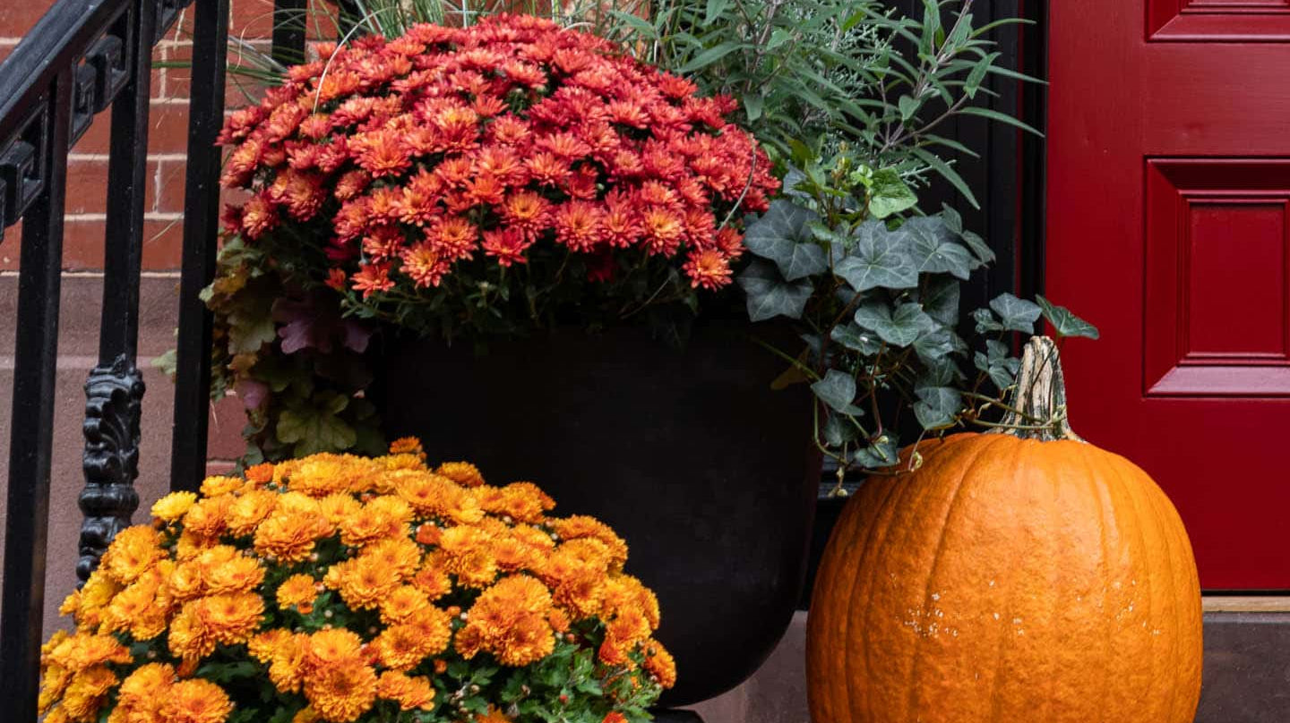 How To Create a Fall Planter ?