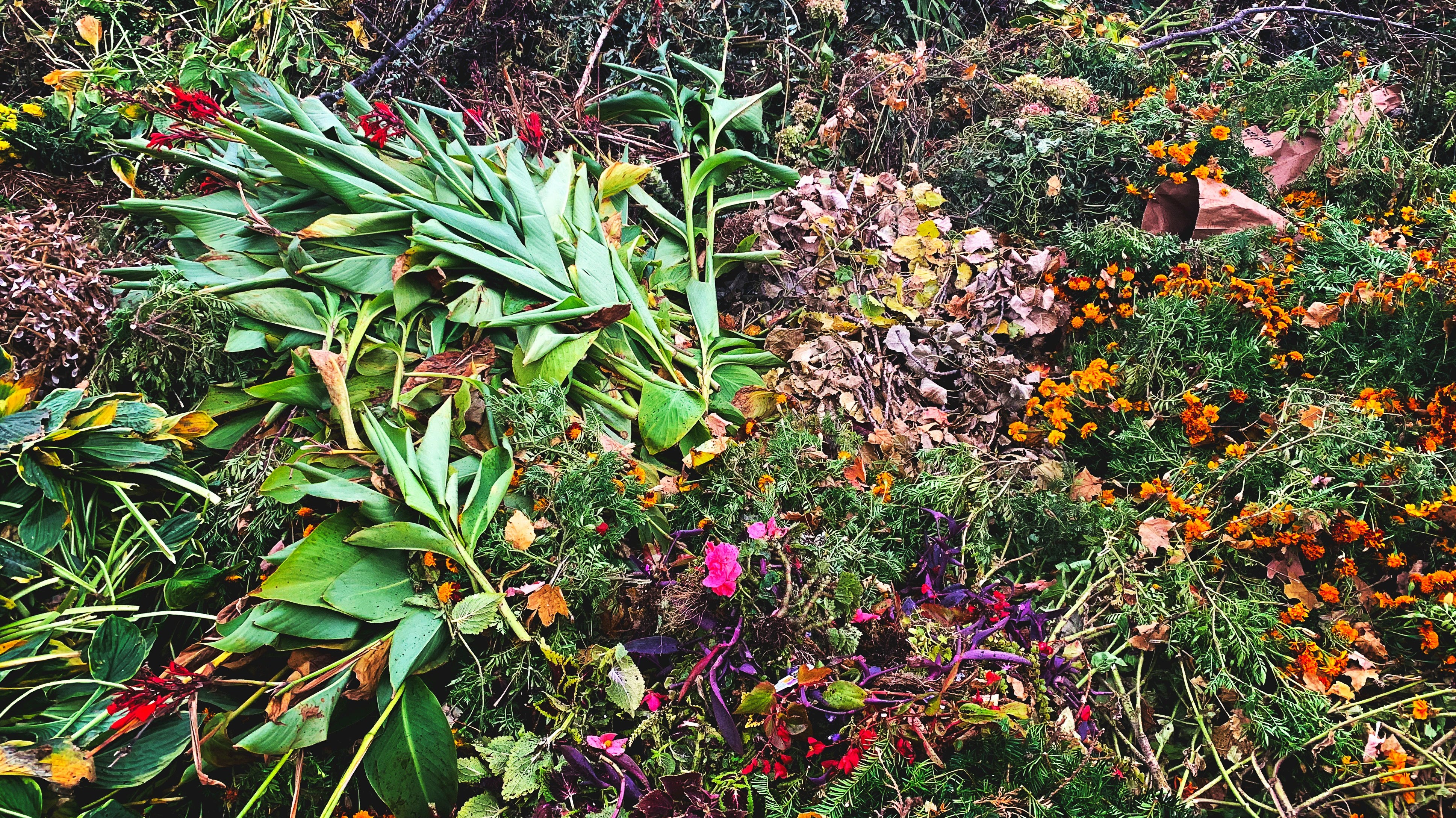 Spring Cleaning Your Garden in 7 Easy Steps