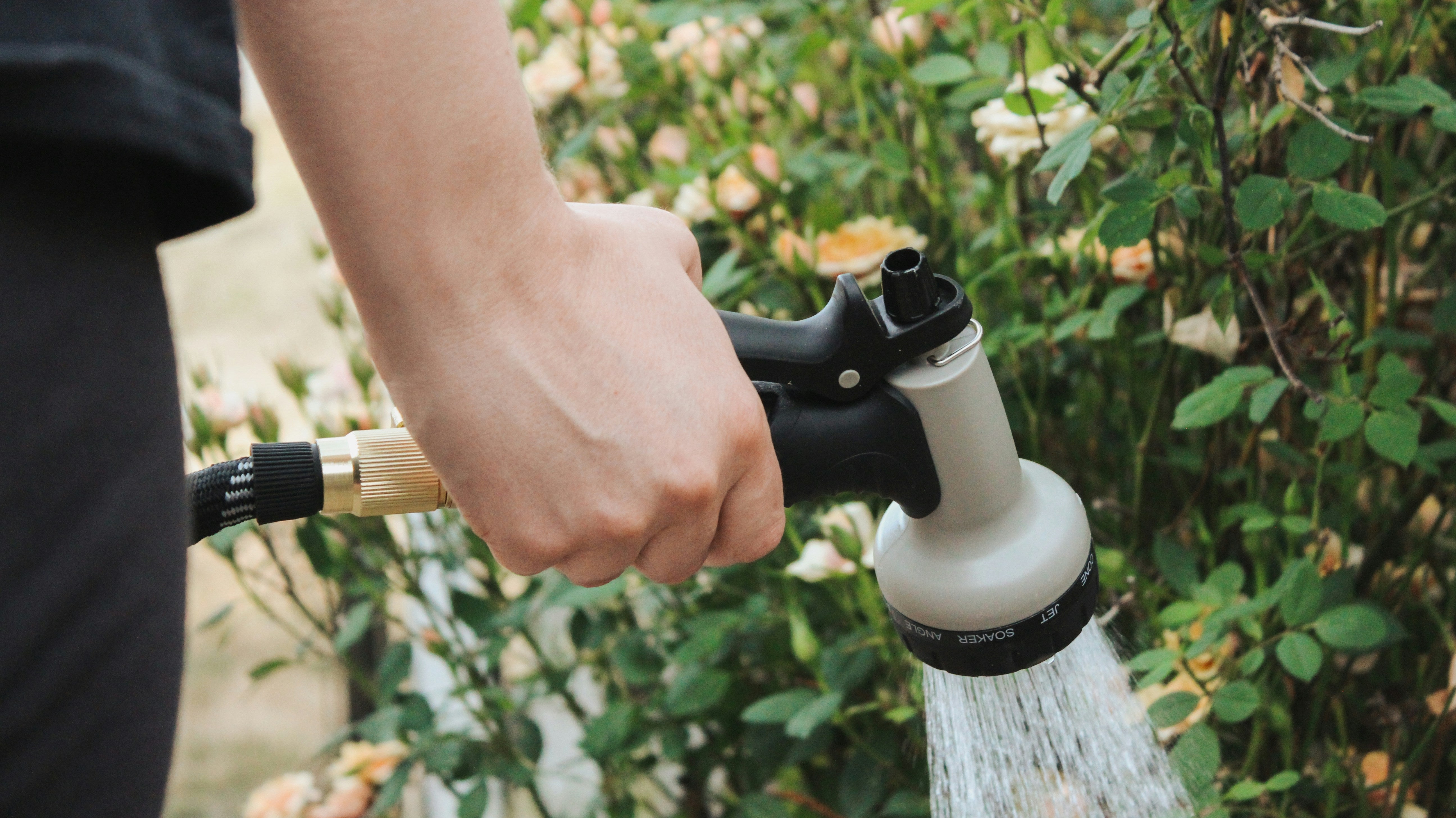 7 Watering Tips To Beat The Heat & Ensure Your Garden Thrives