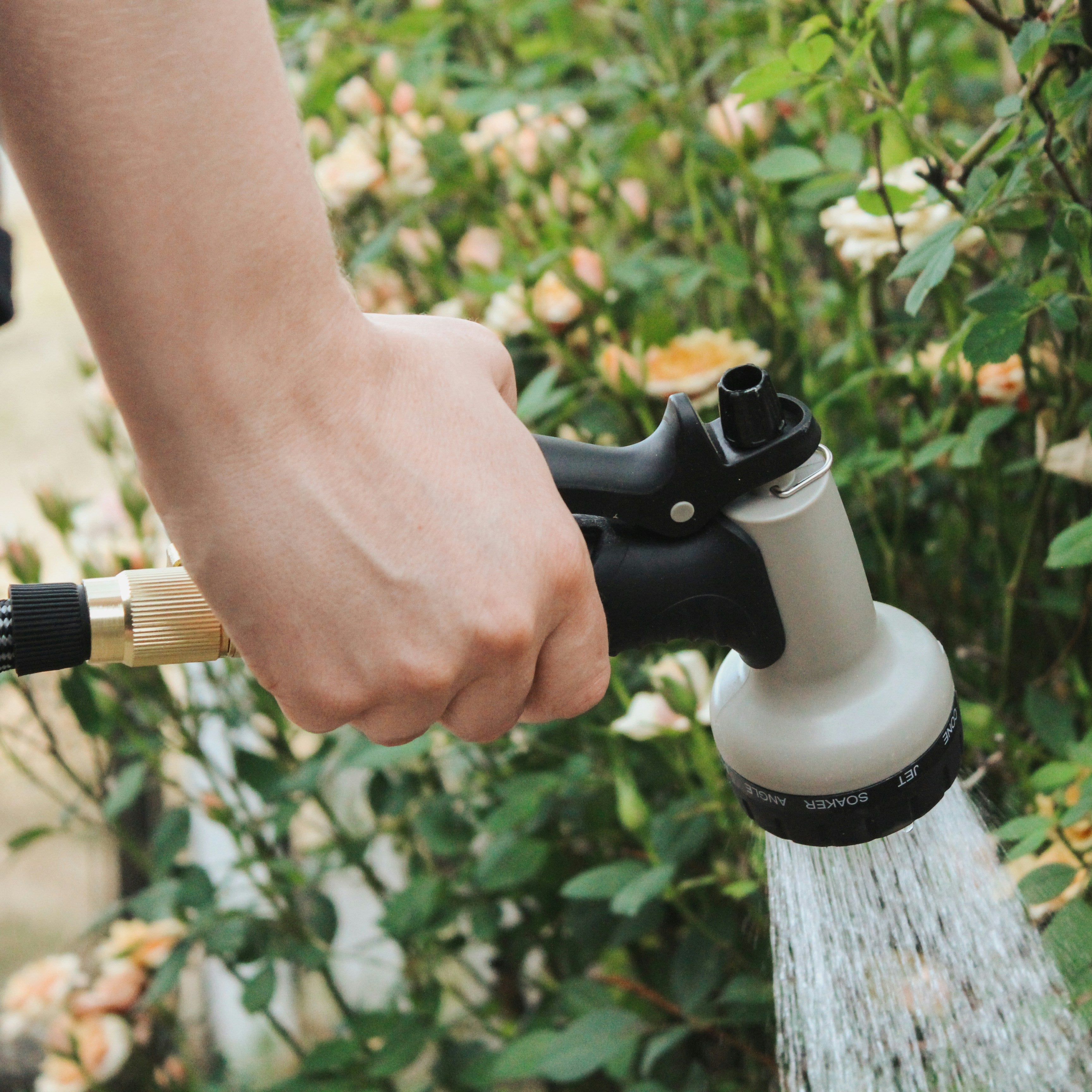 How to Maintain Your Garden in July