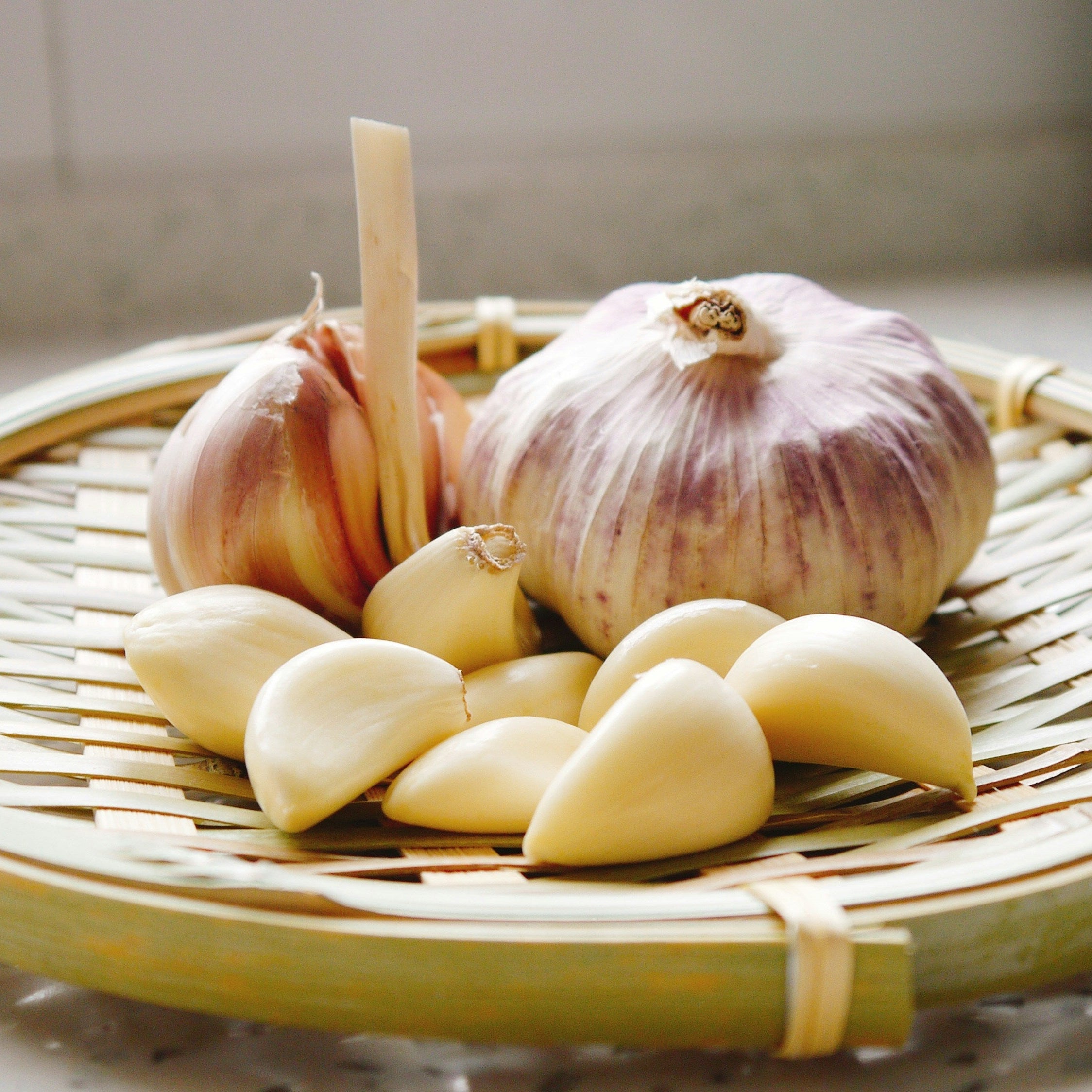 How & When To Plant Garlic