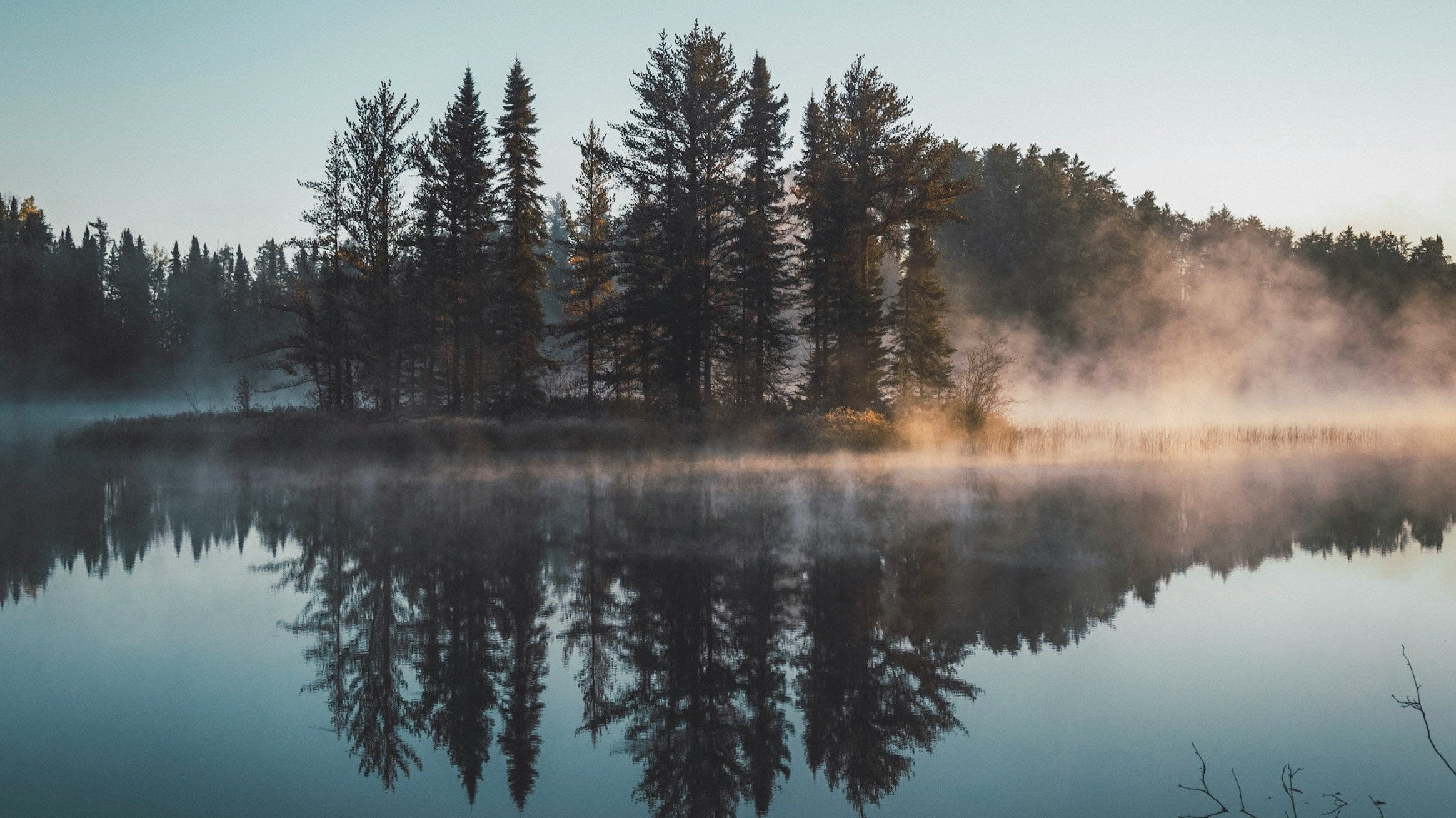 How to Use Gardening to Empower and Increase Wellness