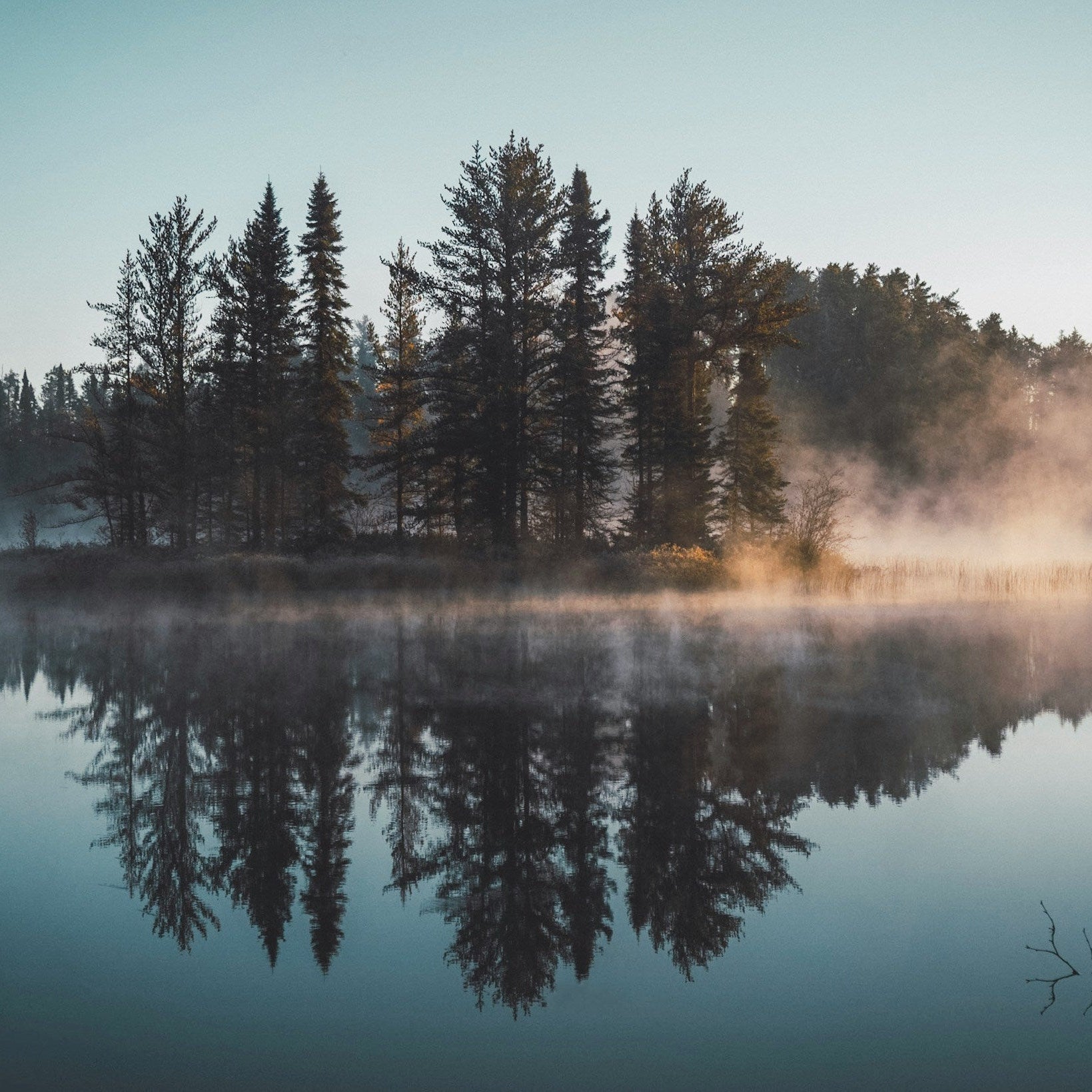 How to Use Gardening to Empower and Increase Wellness