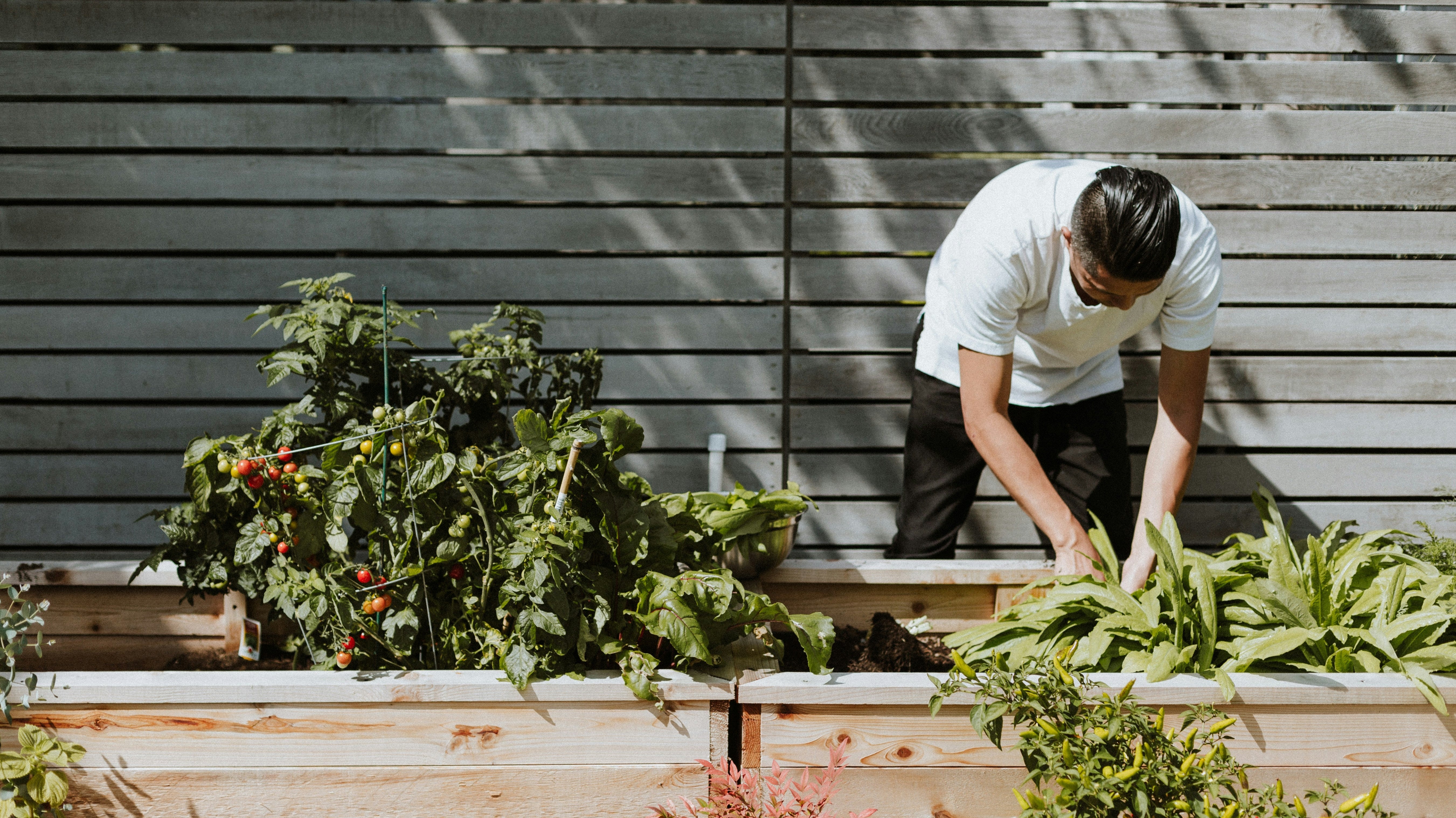 A Smarter Approach to Summer Weeding