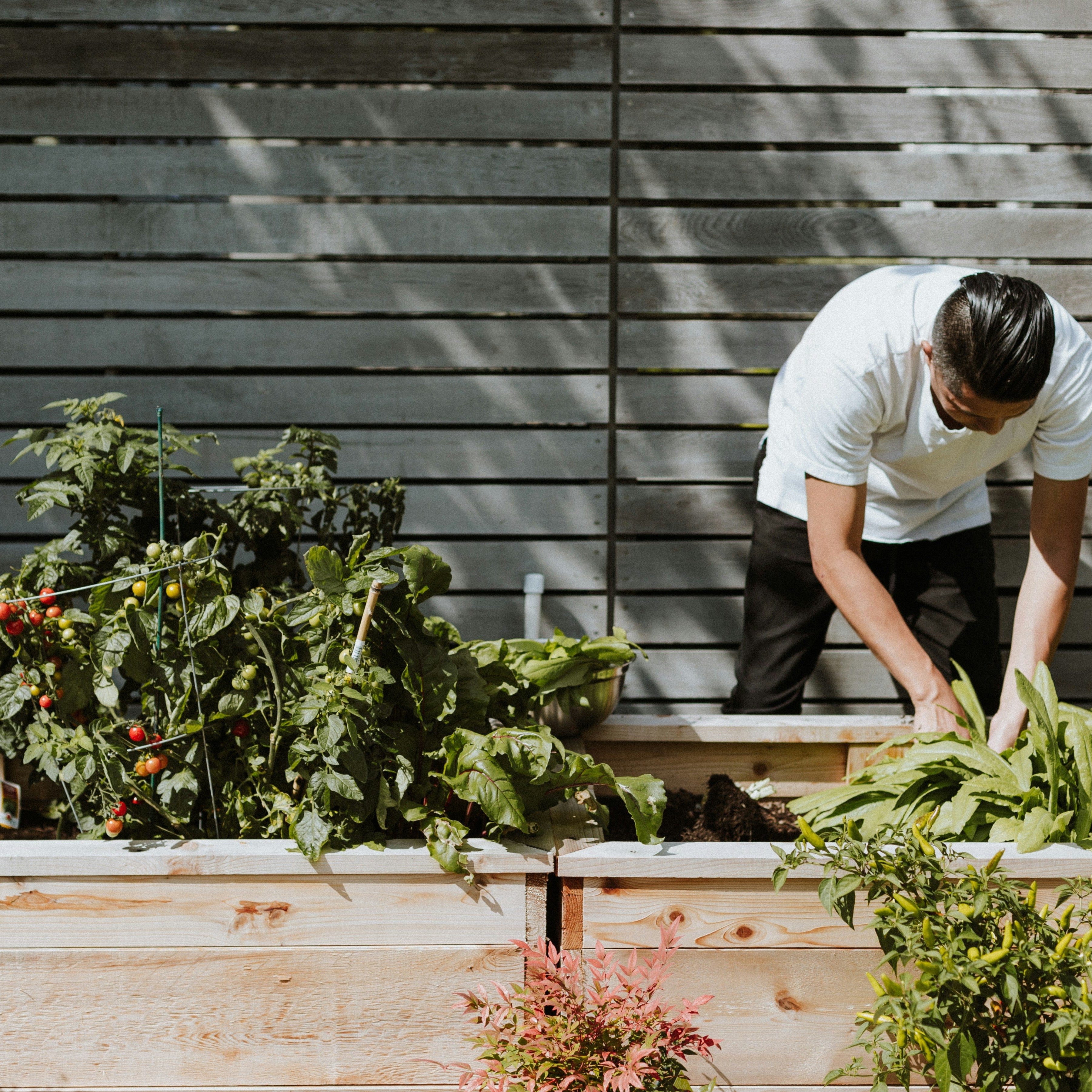 A Smarter Approach to Summer Weeding