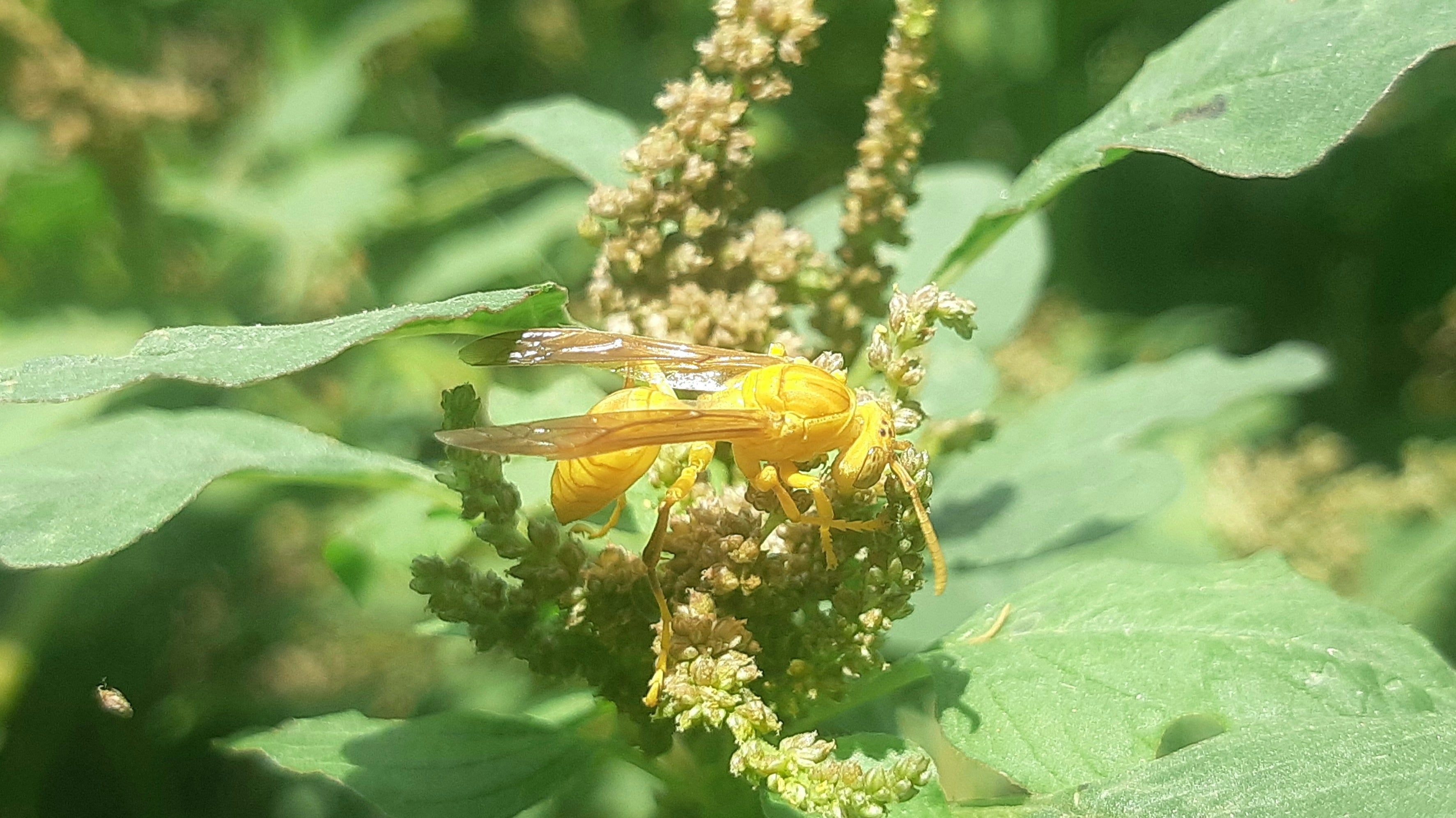 3 Essential Autumn Pest Control Tips for a Healthy Garden