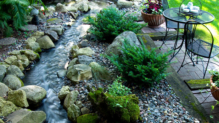 DIY: PLANTING A ROCK GARDEN