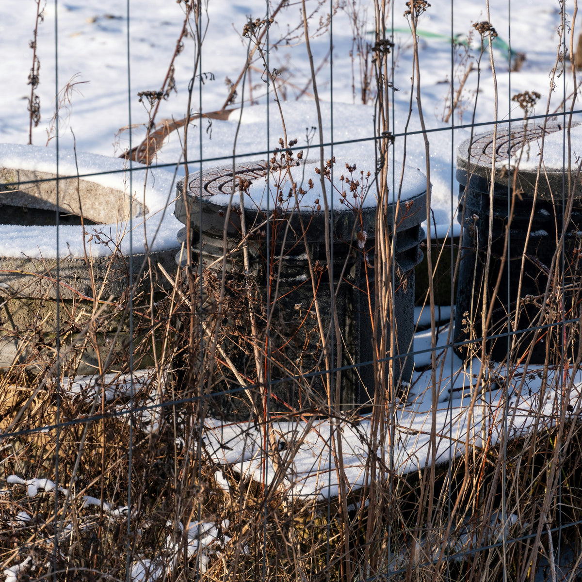 How to Winterize Your Garden Containers and Pots