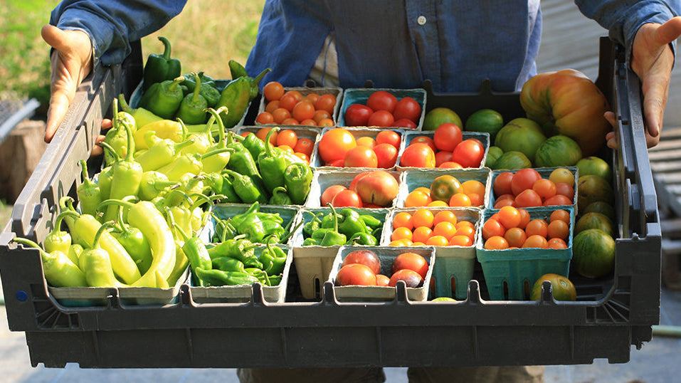 5 Vegetables to Harvest in July (and How to Keep Them Coming)