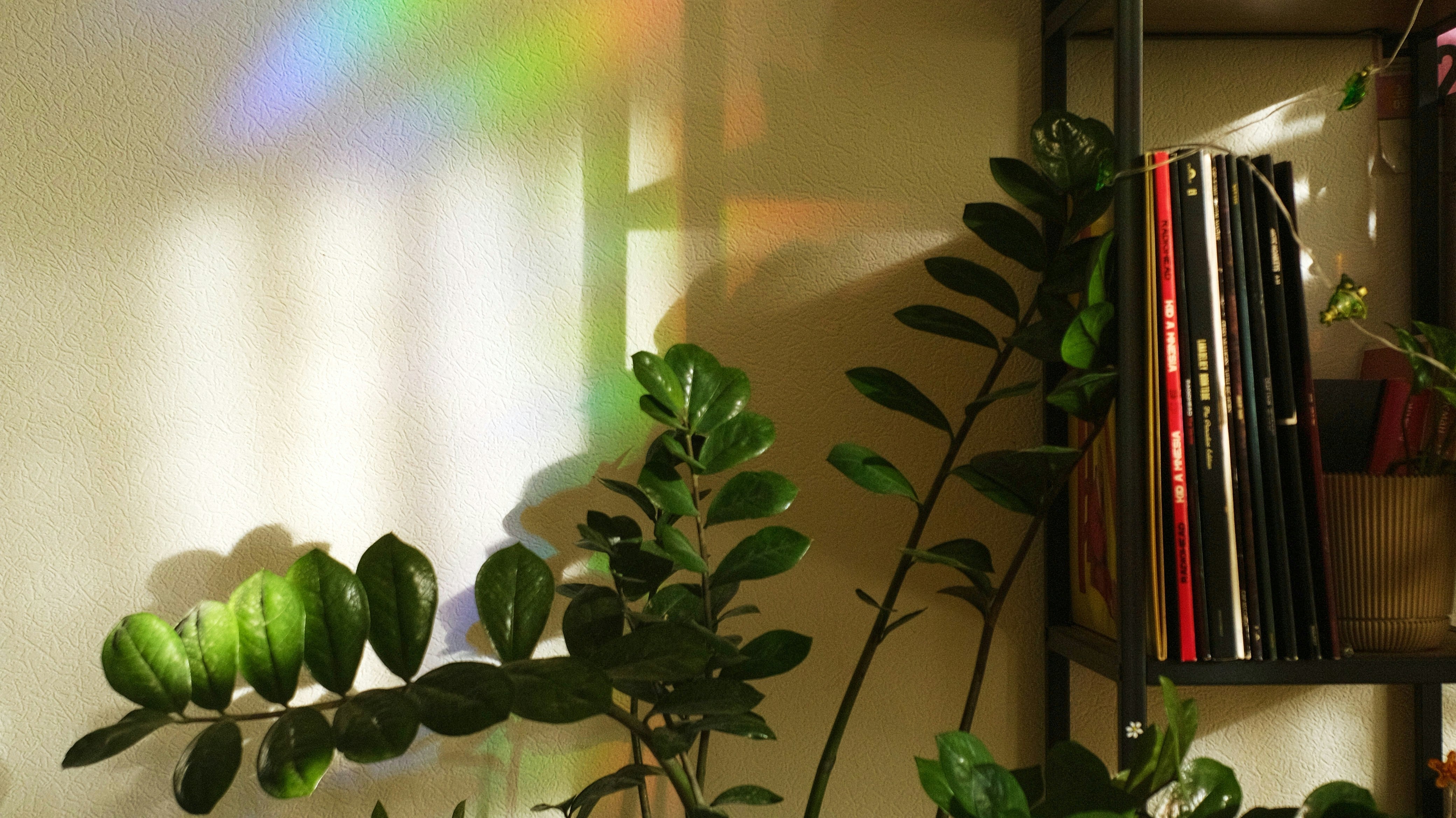 5 Plants That Work Harder for You: Air Purifiers and Mood Boosters for Your Home
