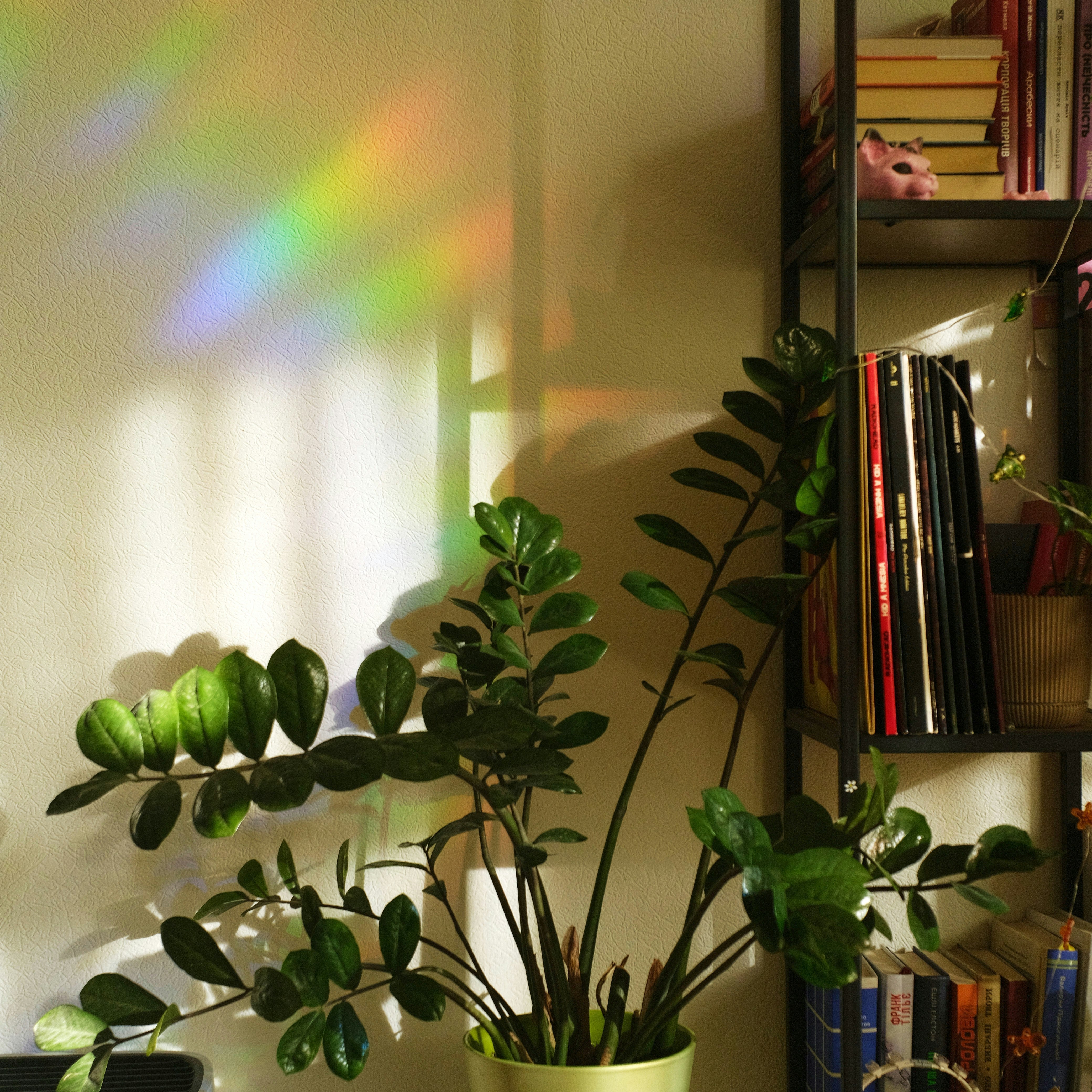 5 Plants That Work Harder for You: Air Purifiers and Mood Boosters for Your Home