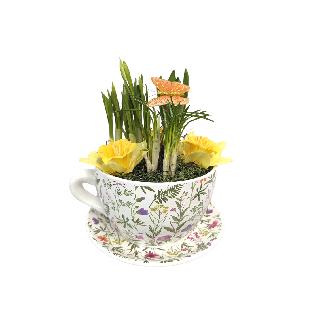 Planted Tea Cup Planter (2 sizes)
