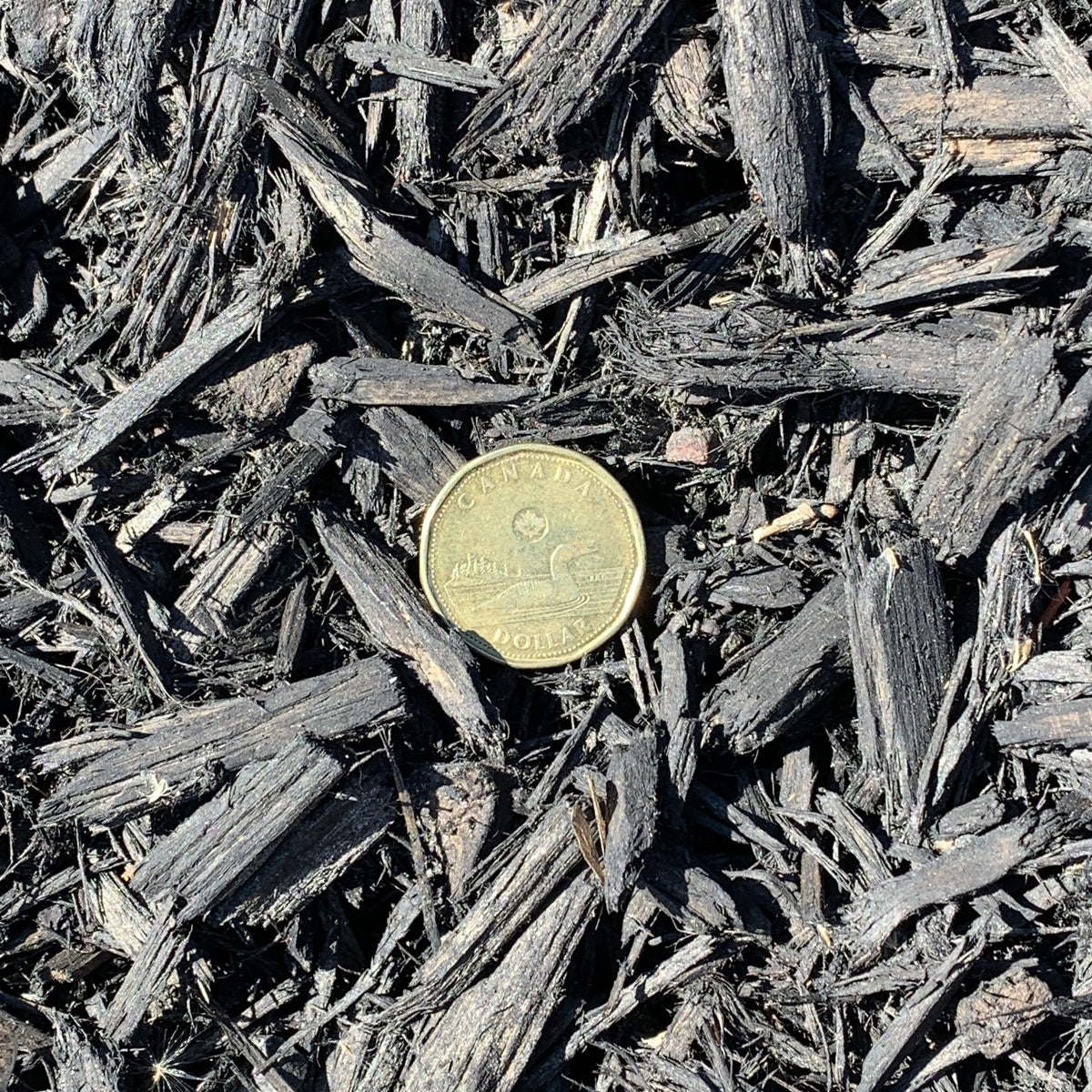Black Cedar Mulch Bulk Lakeside Garden Gallery
