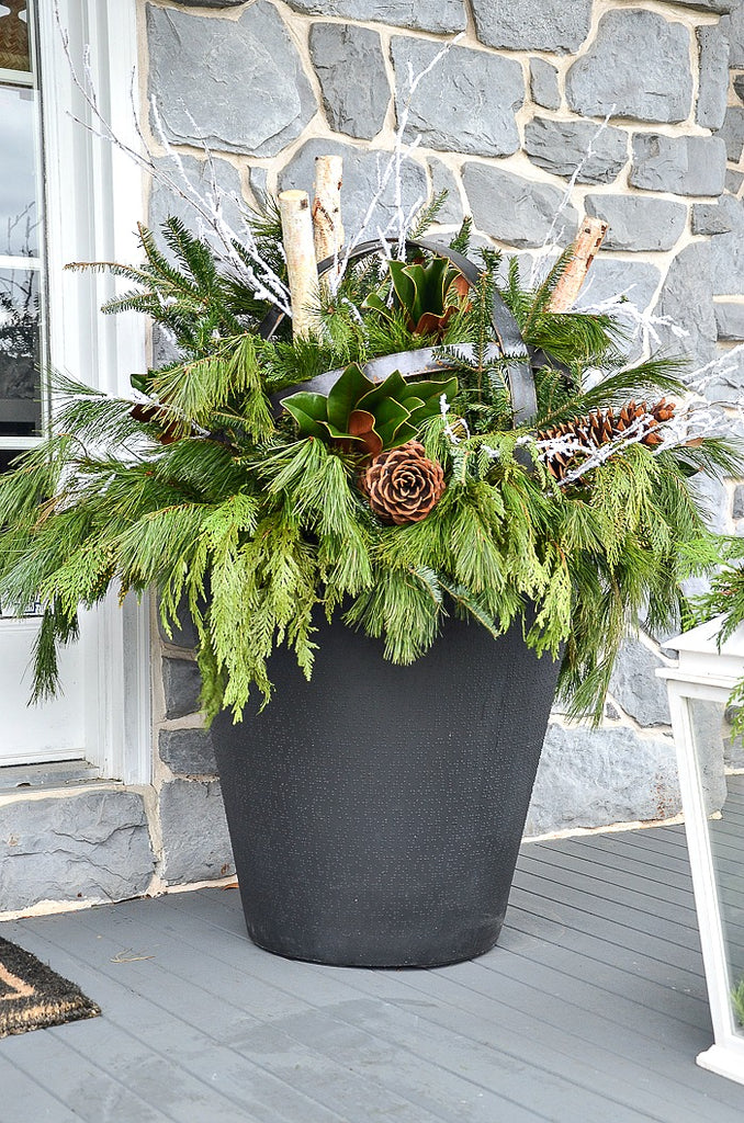 Create Your Own Christmas Planter