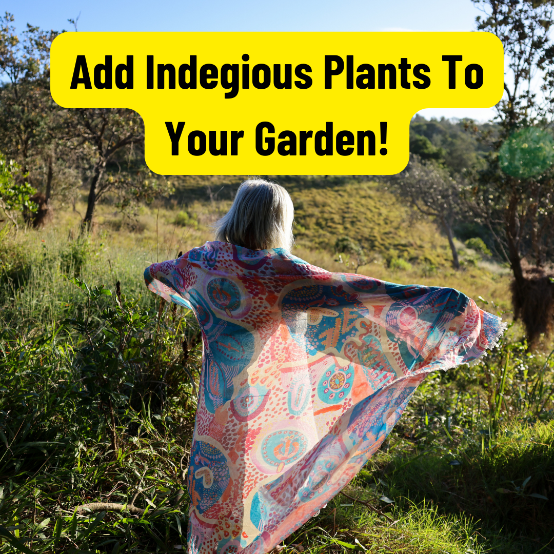 Why You Should Add Indigenous Plants To Your Garden?