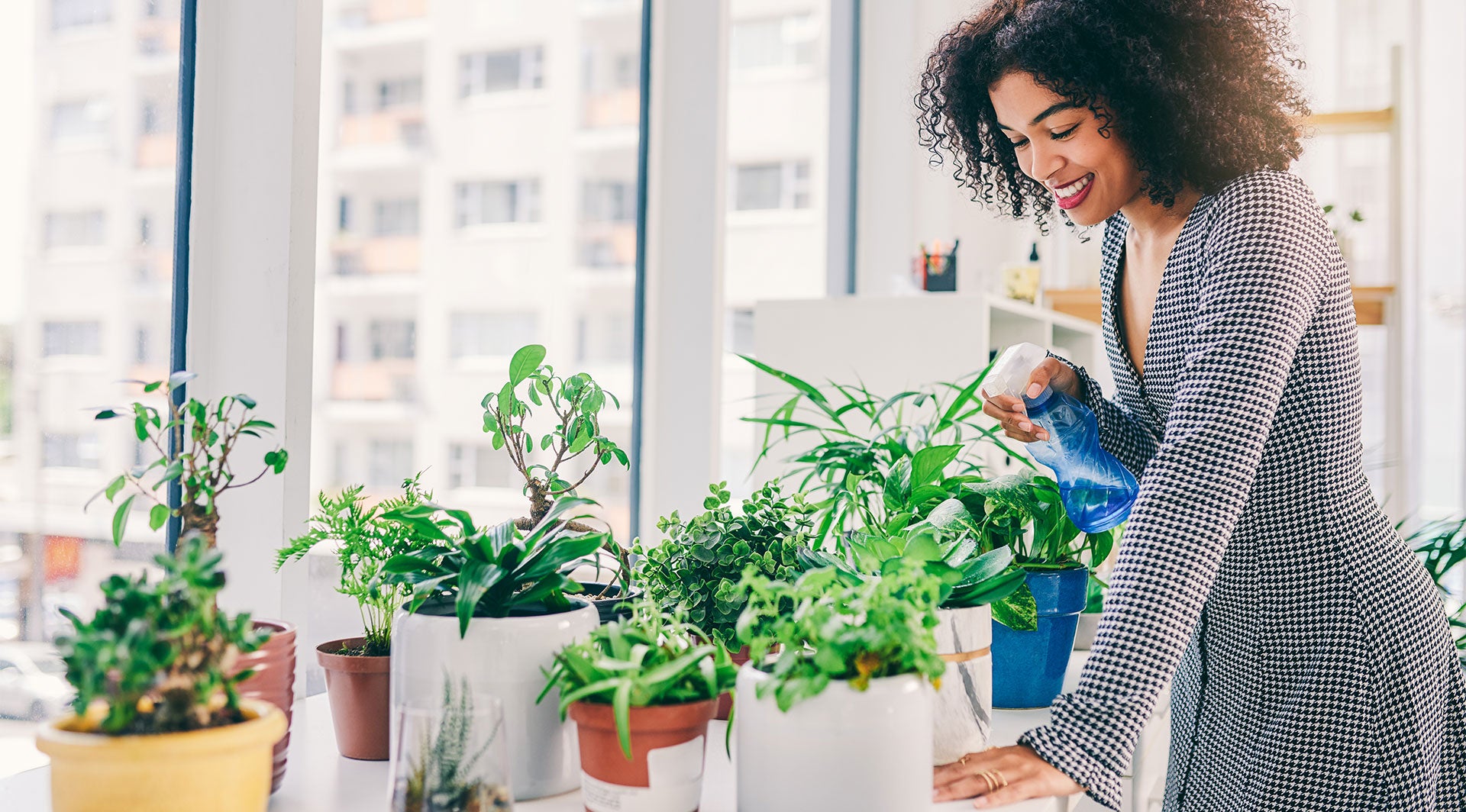 INDOOR PLANTS FOR CLEANER AIR