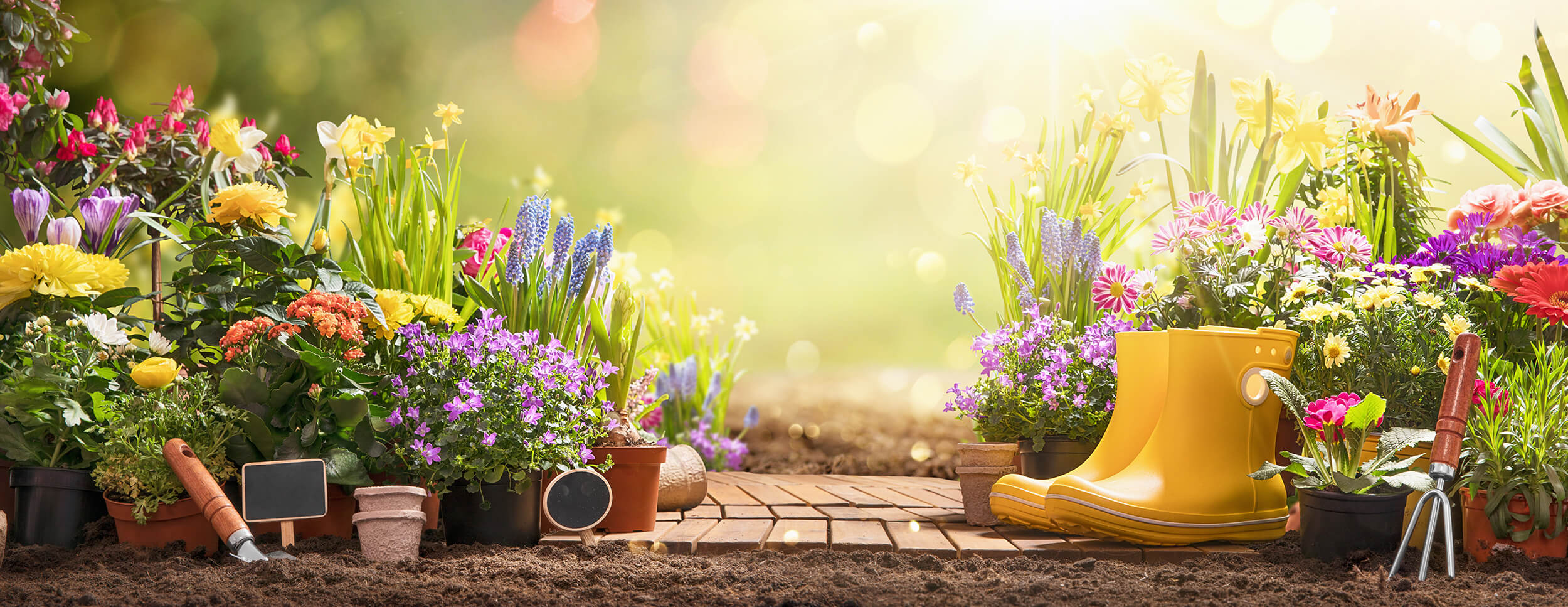 First Day of Spring