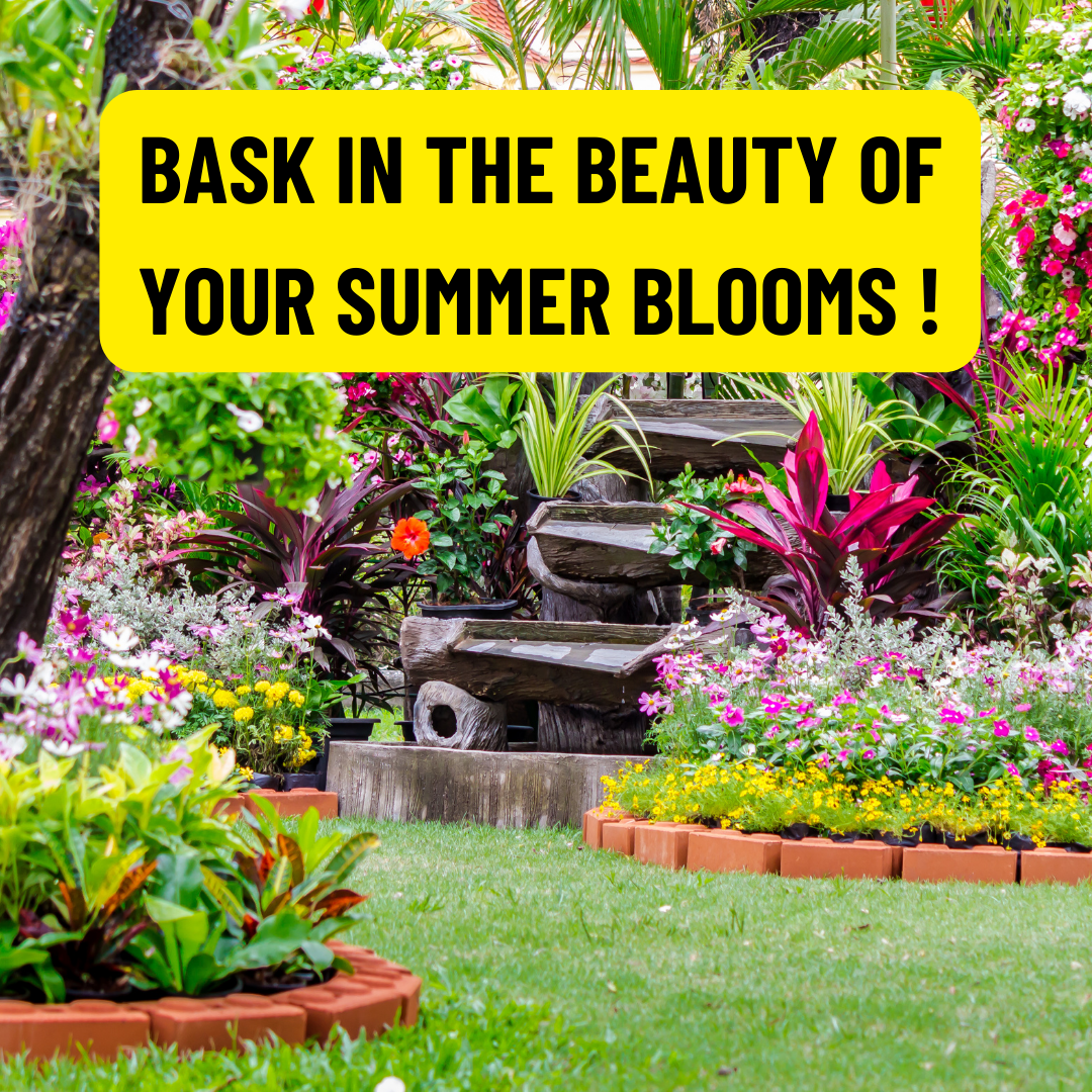 A Gardener's Guide To Summer Blooms