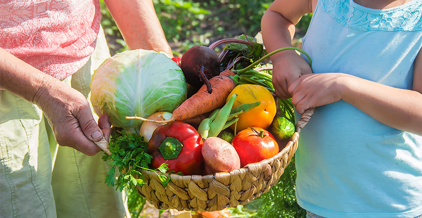 Get Ready For Harvest