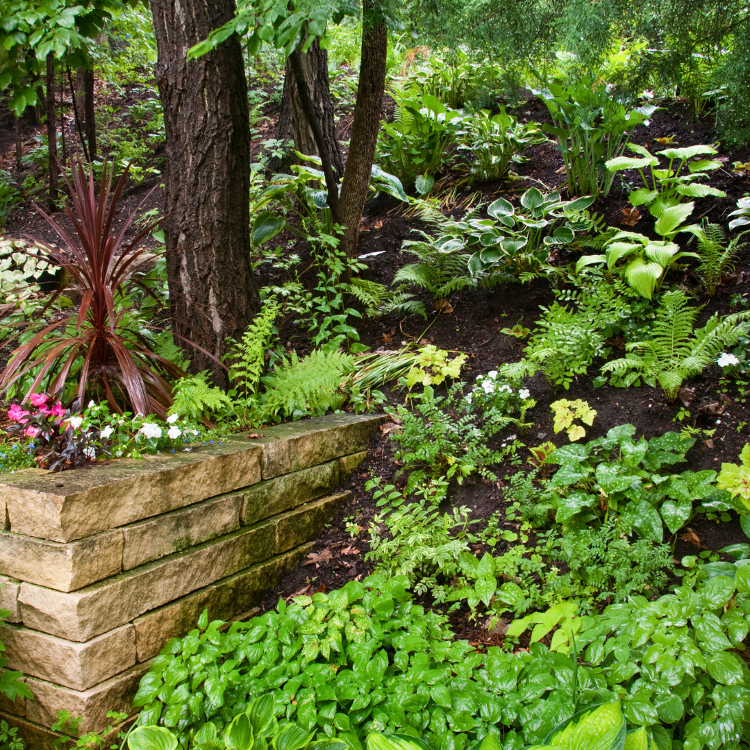 The Secret to Successful Shade Loving Gardens