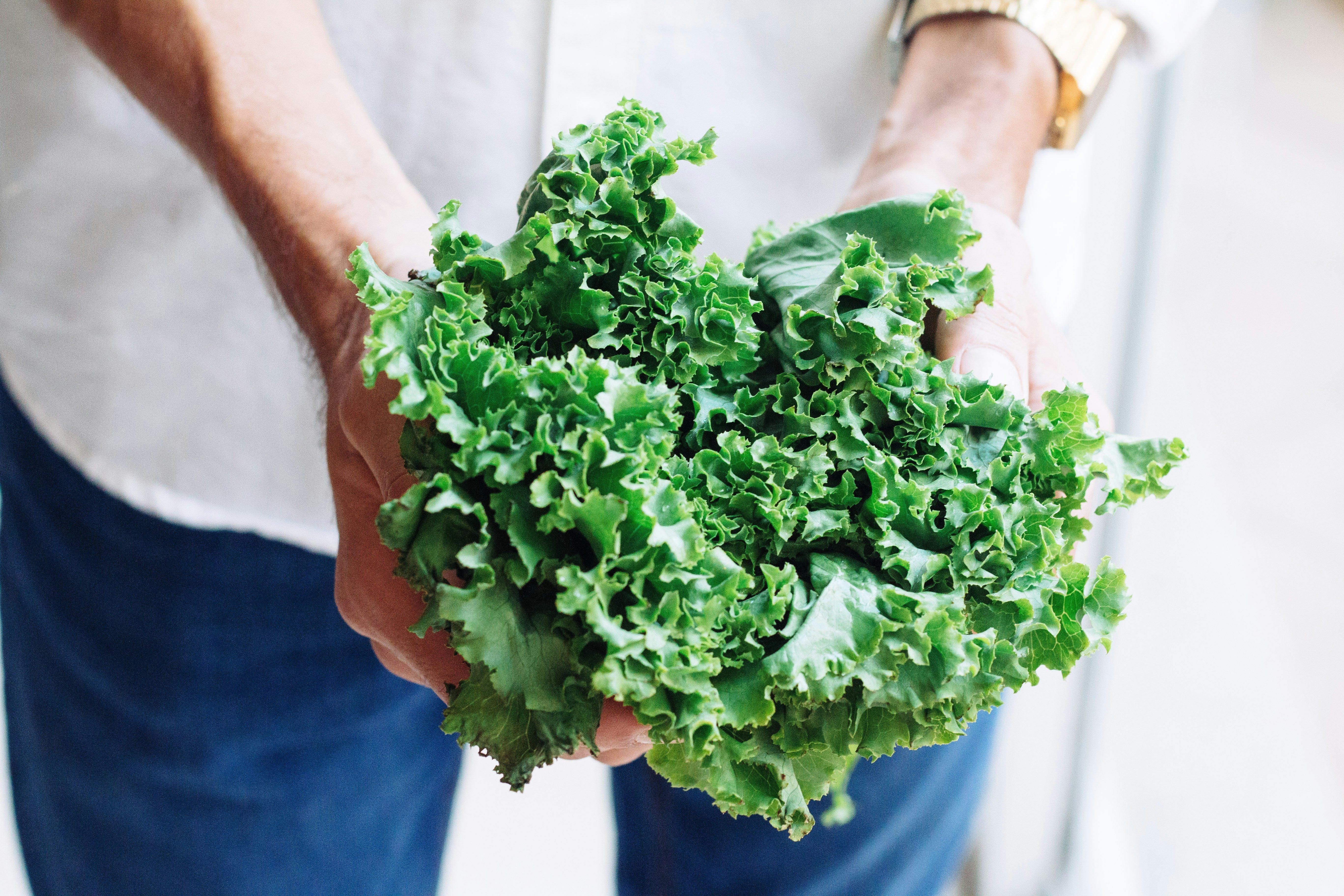 What to Plant Now for Fall Harvest